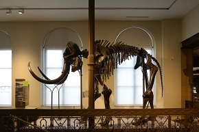 museum voor natuurwetenschappen brussel 11-2022 5504